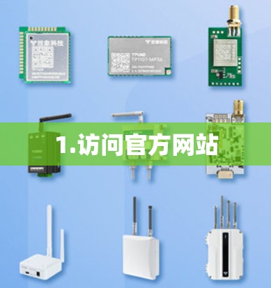 1.访问官方网站 1.访问官方网站