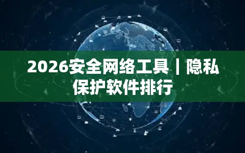 2026安全网络工具｜隐私保护软件排行