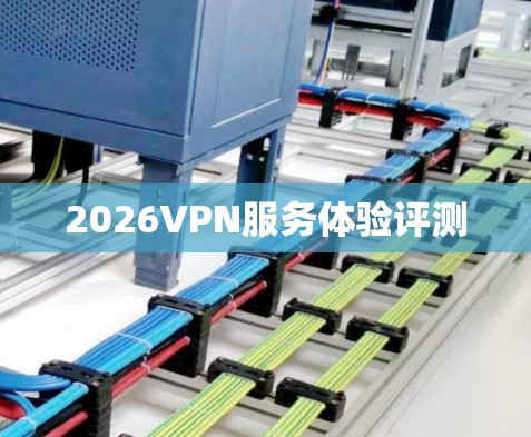 2026VPN服务体验评测 2026VPN服务体验评测