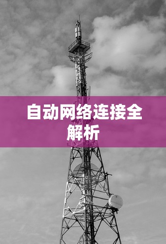 自动网络连接全解析 自动网络连接全解析