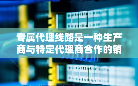 专属代理线路是一种生产商与特定代理商合作的销售策略,旨在针对特定市场或客户群体,提供精准的产品和服务。以下是对专属代理线路的详细分析 专属代理线路是一种生产商与特定代理商合作的销售策略,旨在针对特定市场或客户群体,提供精准的产品和服务。以下是对专属代理线路的详细分析