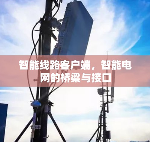 智能线路客户端,智能电网的桥梁与接口 智能线路客户端,智能电网的桥梁与接口