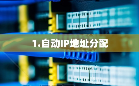 1.自动IP地址分配 1.自动IP地址分配