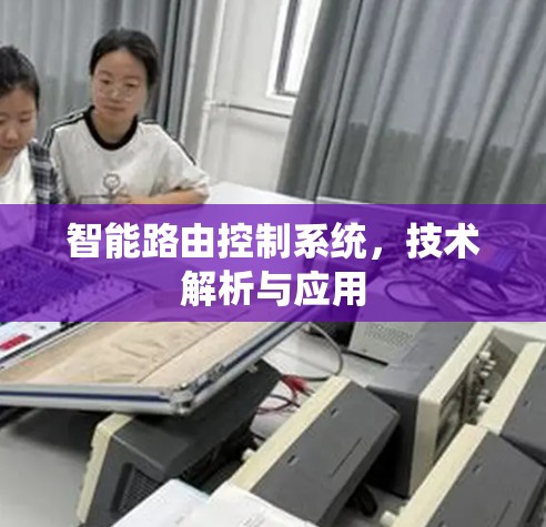 智能路由控制系统,技术解析与应用 智能路由控制系统,技术解析与应用