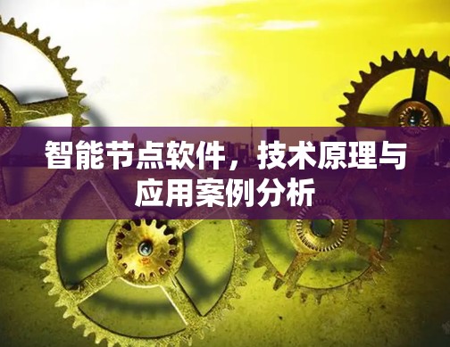 智能节点软件,技术原理与应用案例分析 智能节点软件,技术原理与应用案例分析