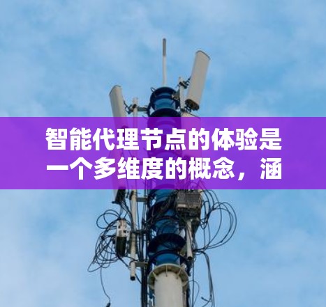 智能代理节点的体验是一个多维度的概念，涵盖了用户在日常使用中会遇到的各个方面。以下是对智能代理节点体验的详细分析
