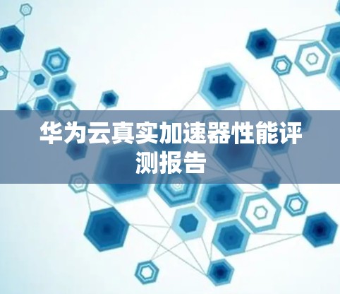 华为云真实加速器性能评测报告