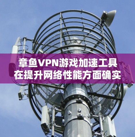 章鱼VPN游戏加速工具在提升网络性能方面确实有其作用,以下是对其功能和效果的详细分析 章鱼VPN游戏加速工具在提升网络性能方面确实有其作用,以下是对其功能和效果的详细分析