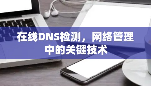 在线DNS检测,网络管理中的关键技术 在线DNS检测,网络管理中的关键技术