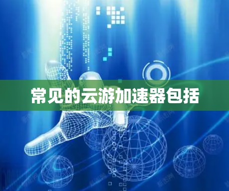 常见的云游加速器包括 常见的云游加速器包括