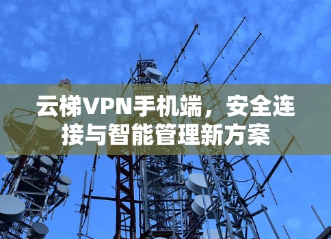 云梯VPN手机端,安全连接与智能管理新方案 云梯VPN手机端,安全连接与智能管理新方案
