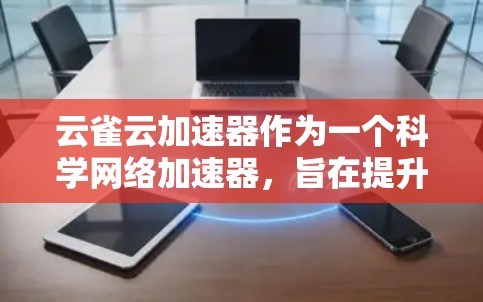 云雀云加速器作为一个科学网络加速器，旨在提升数据处理和传输效率，特别适用于大型科学项目。以下是对其工作原理和功能的详细分析