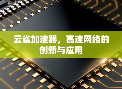 云雀加速器，高速网络的创新与应用