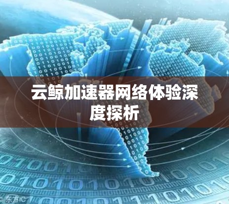 云鲸加速器网络体验深度探析 云鲸加速器网络体验深度探析