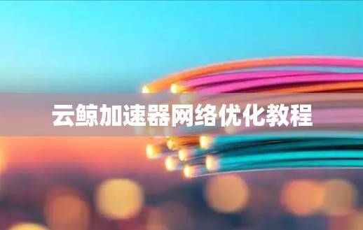 云鲸加速器网络优化教程 云鲸加速器网络优化教程