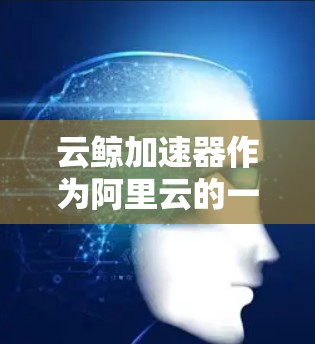 云鲸加速器作为阿里云的一款服务,专注于优化云资源的性能,尤其在国际连接方面提供了多样化的解决方案。以下是对云鲸加速器国际连接的详细分析 云鲸加速器作为阿里云的一款服务,专注于优化云资源的性能,尤其在国际连接方面提供了多样化的解决方案。以下是对云鲸加速器国际连接的详细分析
