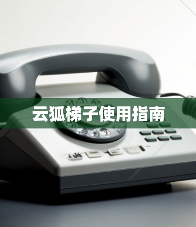云狐梯子使用指南 云狐梯子使用指南