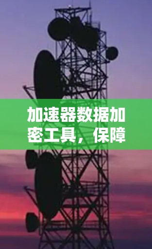 加速器数据加密工具,保障高性能计算安全 加速器数据加密工具,保障高性能计算安全