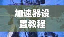 加速器设置教程