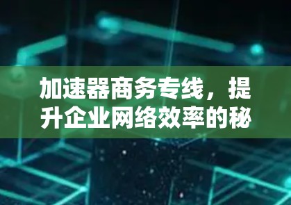 加速器商务专线，提升企业网络效率的秘密武器