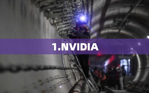 1.NVIDIA