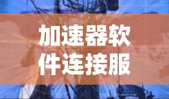加速器软件连接服务通常涉及多种技术和配置,这些步骤会根据具体的加速器软件和目标服务的不同有所差异。以下是一些常见的步骤和建议,帮助您连接加速器软件与外部服务 加速器软件连接服务通常涉及多种技术和配置,这些步骤会根据具体的加速器软件和目标服务的不同有所差异。以下是一些常见的步骤和建议,帮助您连接加速器软件与外部服务