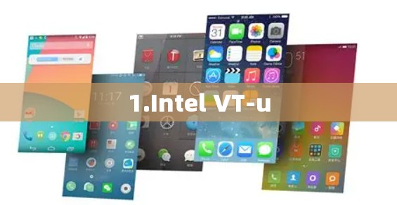1.Intel VT-u 1.Intel VT-u