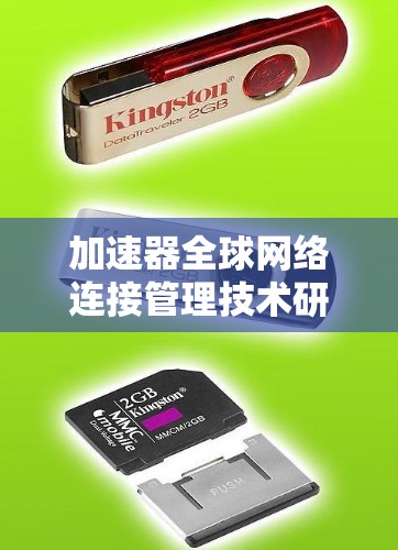加速器全球网络连接管理技术研究与应用