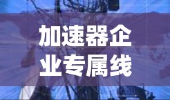 加速器企业专属线路是一种高度定制化、性能优越的数据处理系统,专为特定加速器设计,满足复杂实验需求的高精度和实时性要求。以下是对加速器企业专属线路的详细分析 加速器企业专属线路是一种高度定制化、性能优越的数据处理系统,专为特定加速器设计,满足复杂实验需求的高精度和实时性要求。以下是对加速器企业专属线路的详细分析