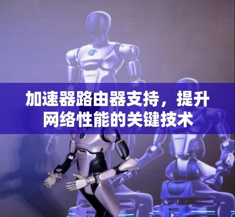 加速器路由器支持,提升网络性能的关键技术 加速器路由器支持,提升网络性能的关键技术