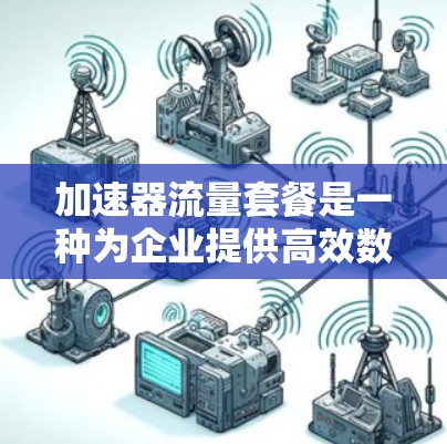 加速器流量套餐是一种为企业提供高效数据传输服务的解决方案，特别适用于对网络性能有高要求的场景。以下是对加速器流量套餐的详细分析和选择建议