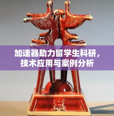 加速器助力留学生科研，技术应用与案例分析