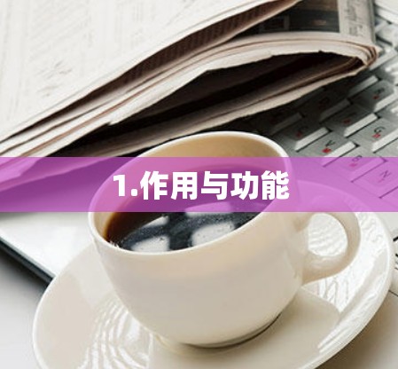 1.作用与功能 1.作用与功能