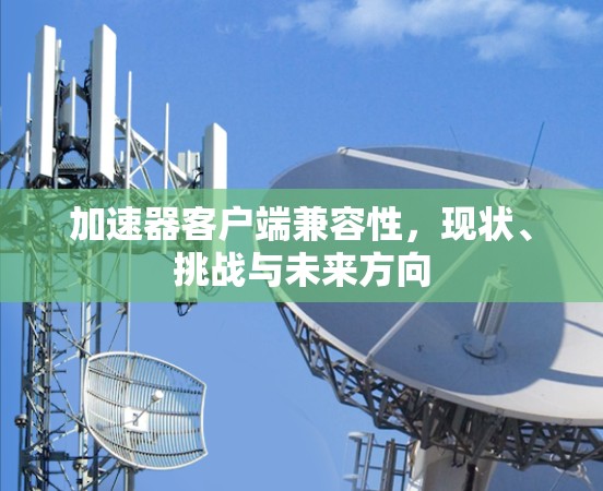 加速器客户端兼容性，现状、挑战与未来方向
