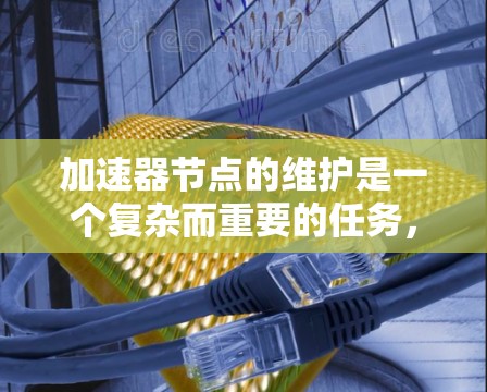 加速器节点的维护是一个复杂而重要的任务，涉及多个方面的考量。以下是对加速器节点维护的详细步骤和建议