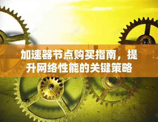 加速器节点购买指南,提升网络性能的关键策略 加速器节点购买指南,提升网络性能的关键策略