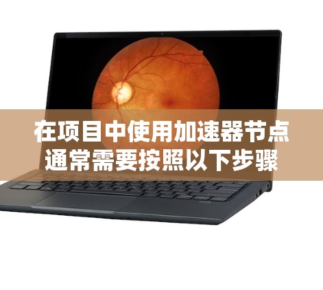 在项目中使用加速器节点通常需要按照以下步骤进行导入和配置 在项目中使用加速器节点通常需要按照以下步骤进行导入和配置