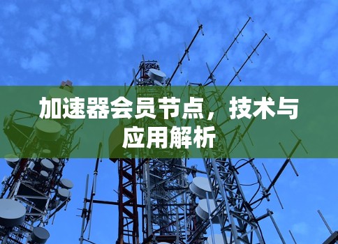 加速器会员节点，技术与应用解析