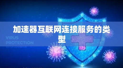 加速器互联网连接服务的类型 加速器互联网连接服务的类型