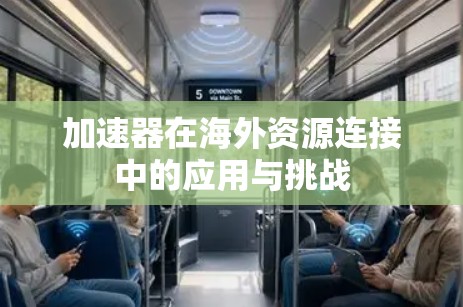 加速器在海外资源连接中的应用与挑战 加速器在海外资源连接中的应用与挑战