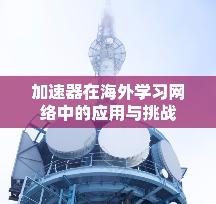 加速器在海外学习网络中的应用与挑战 加速器在海外学习网络中的应用与挑战