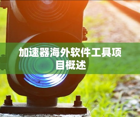 加速器海外软件工具项目概述 加速器海外软件工具项目概述
