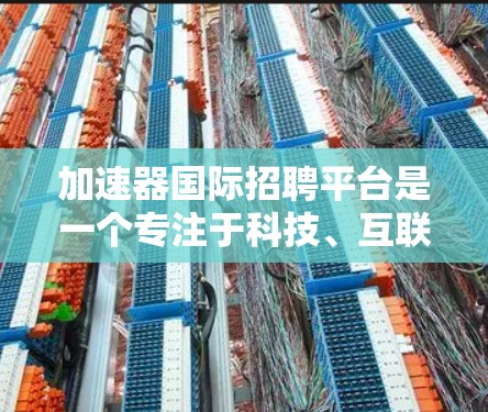 加速器国际招聘平台是一个专注于科技、互联网和创业领域的人才招聘平台。以下是对该平台的详细分析和总结 加速器国际招聘平台是一个专注于科技、互联网和创业领域的人才招聘平台。以下是对该平台的详细分析和总结