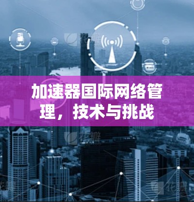加速器国际网络管理,技术与挑战 加速器国际网络管理,技术与挑战