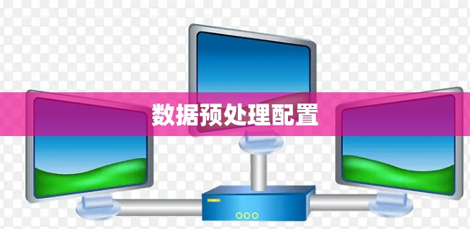数据预处理配置