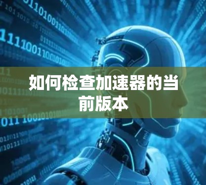 如何检查加速器的当前版本