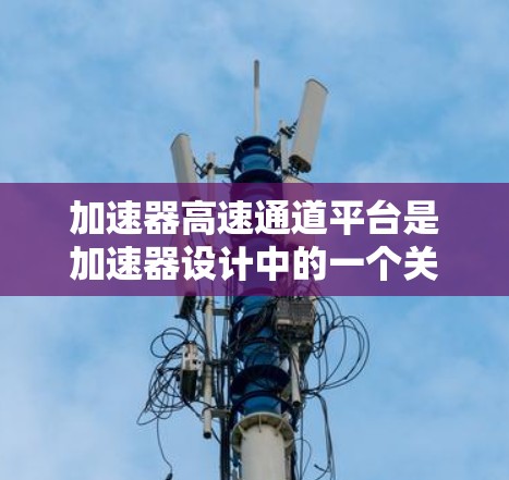 加速器高速通道平台是加速器设计中的一个关键组成部分,旨在提高粒子加速效率和质量。以下是对加速器高速通道平台的详细分析
