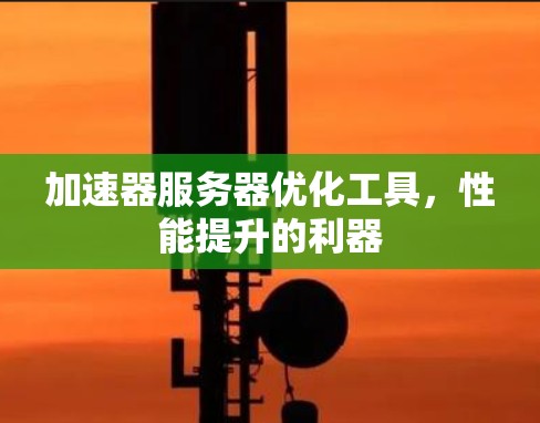 加速器服务器优化工具，性能提升的利器