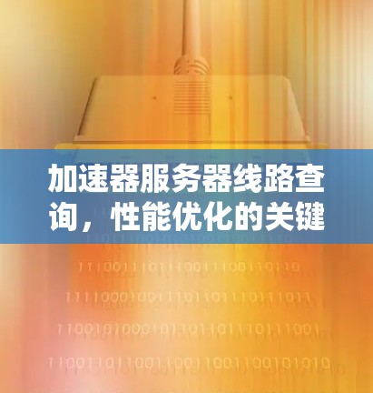 加速器服务器线路查询，性能优化的关键技术