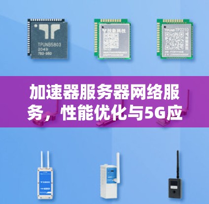 加速器服务器网络服务,性能优化与5G应用探索